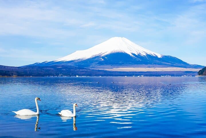 Full Day Tour at Mt. Fuji, Onsen, Lake Kawaguchi and Yamanaka — photo 3