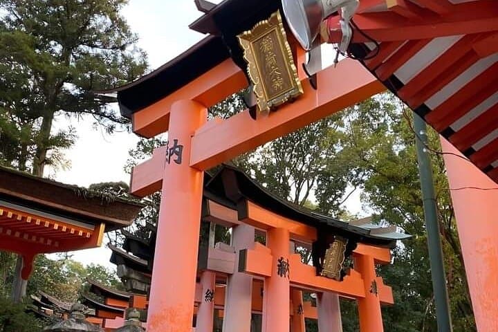 Mount Fuji Oshino Hakkai Sengen Park Sightseeing Day Tour — photo 2