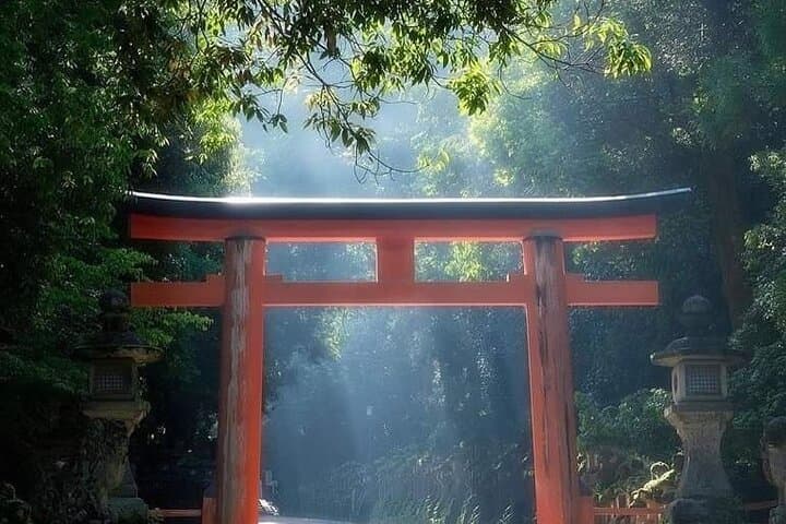 Mount Fuji Oshino Hakkai Sengen Park Sightseeing Day Tour — photo 6