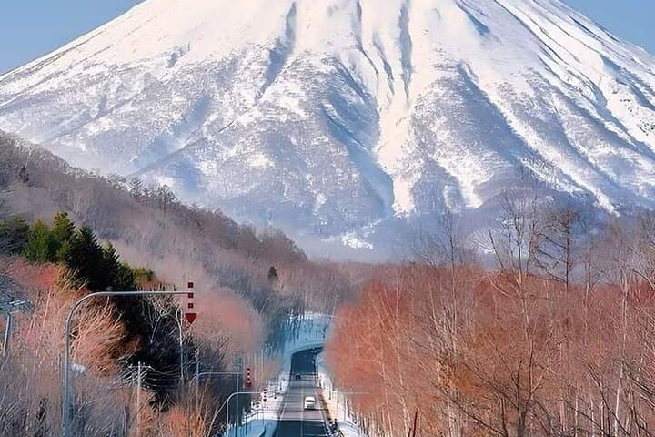 Mount Fuji Oshino Hakkai Sengen Park Sightseeing Day Tour — photo 7