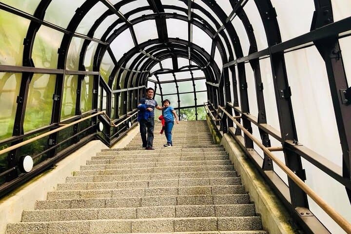 Luxury Hokkaido Day Tour to Asahiyama Zoo and Biei Blue Pond — photo 5