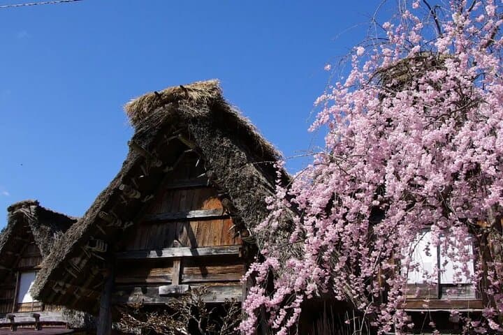 Shirakawago & Hida Takayama One Day Bus Tour from Nagoya — photo 6