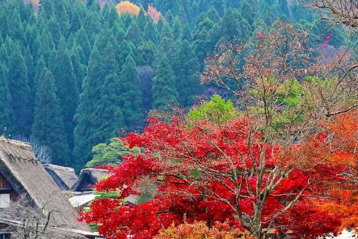 Shirakawago Gujo Hachiman & Hida Takayama Day tour from Nagoya — photo 6