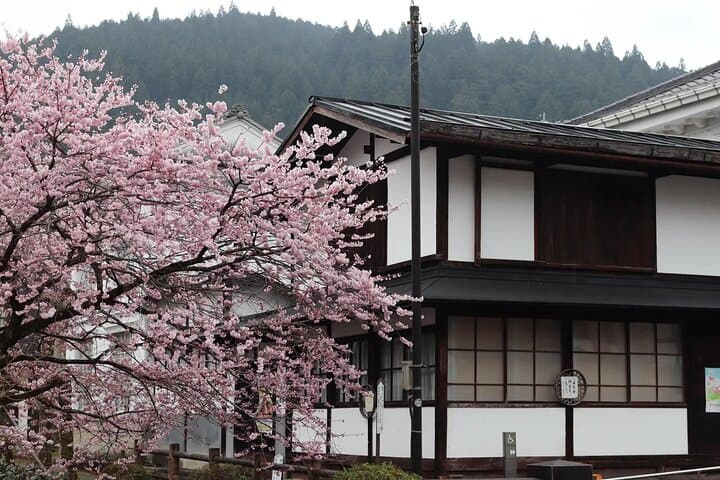 Shirakawago Gujo Hachiman & Hida Takayama Day tour from Nagoya — photo 5