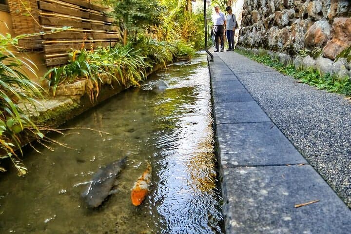 Shirakawago Gujo Hachiman & Hida Takayama Day tour from Nagoya — photo 7