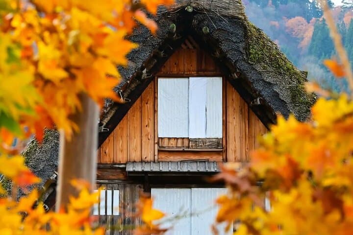 Shirakawago Gujo Hachiman & Hida Takayama Day tour from Nagoya — photo 9