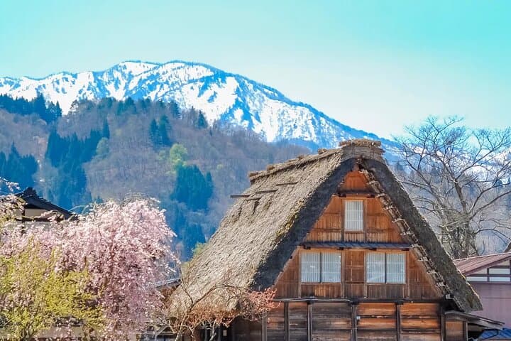 Shirakawago Gujo Hachiman & Hida Takayama Day tour from Nagoya — photo 12