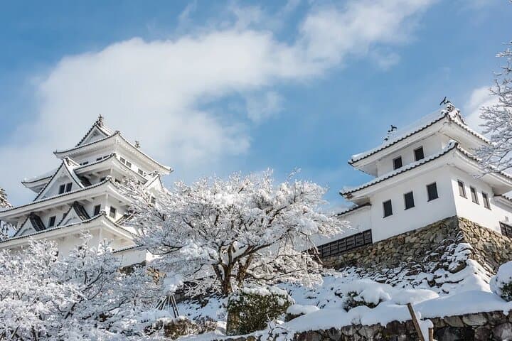 Shirakawago Gujo Hachiman & Hida Takayama Day tour from Nagoya — photo 13