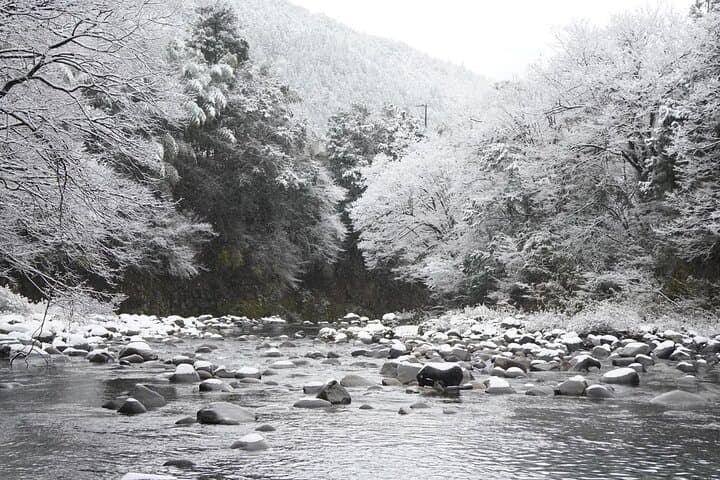 Shirakawago Gujo Hachiman & Hida Takayama Day tour from Nagoya — photo 14