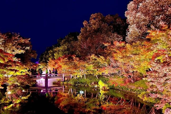 Nagoya Jazz Dream Outlet and Nabana no Sato Light Show Tour — photo 3