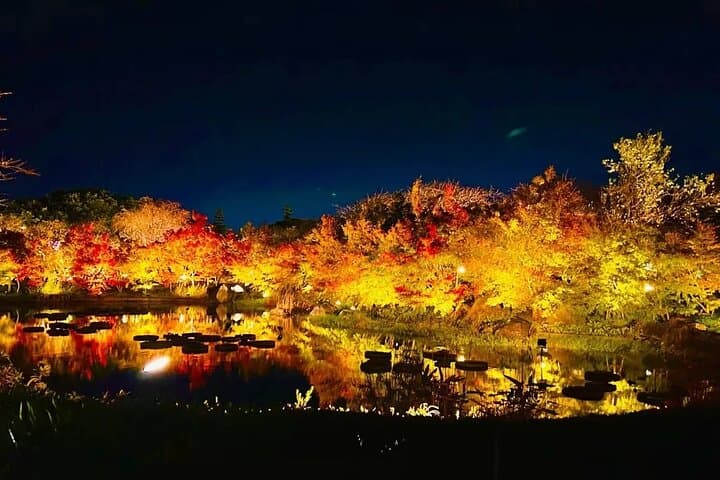 Nagoya Jazz Dream Outlet and Nabana no Sato Light Show Tour — photo 4