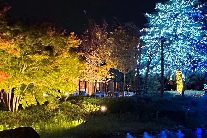 Nagoya Jazz Dream Outlet and Nabana no Sato Light Show Tour — photo 7
