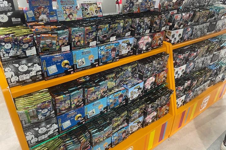 Tokyo Anime and Game Shopping Tour in Ikebukuro — photo 14