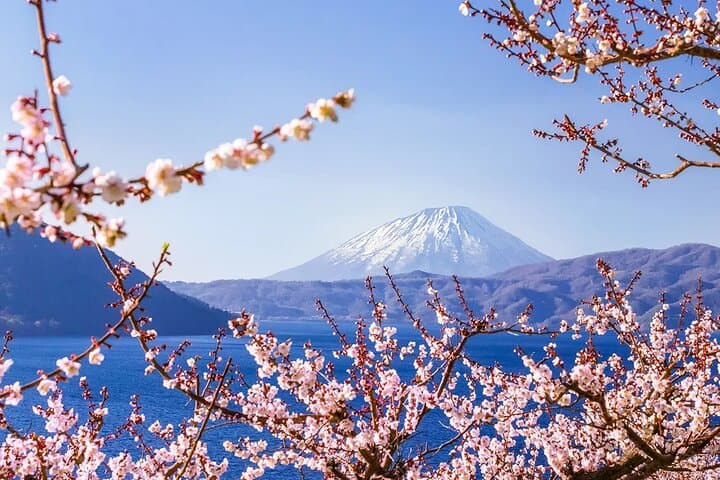 Hokkaido｜Noboribetsu Lake Toya Otaru Panoramic from Tour Sapporo — photo 8