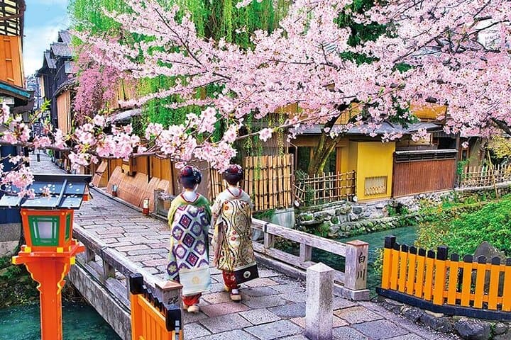 Kyoto 5-Star Geisha Night Walk: Small-Group Authentic Experience — photo 3