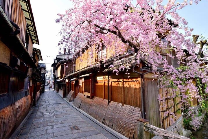 Kyoto 5-Star Geisha Night Walk: Small-Group Authentic Experience — photo 13