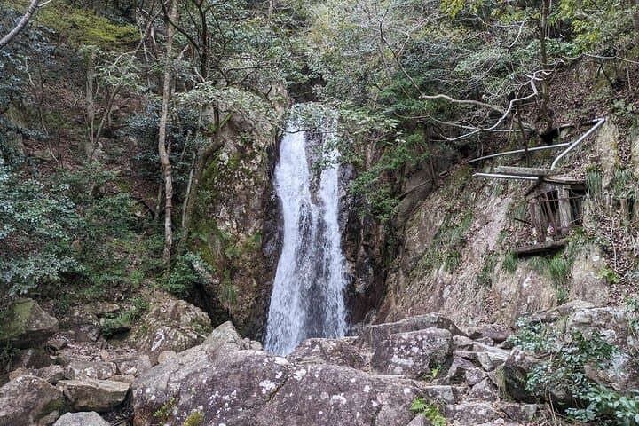 Private 3 Hours Waterfalls Sightseeing Tour — photo 10