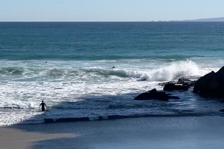 Shimoda Local Guide — photo 20