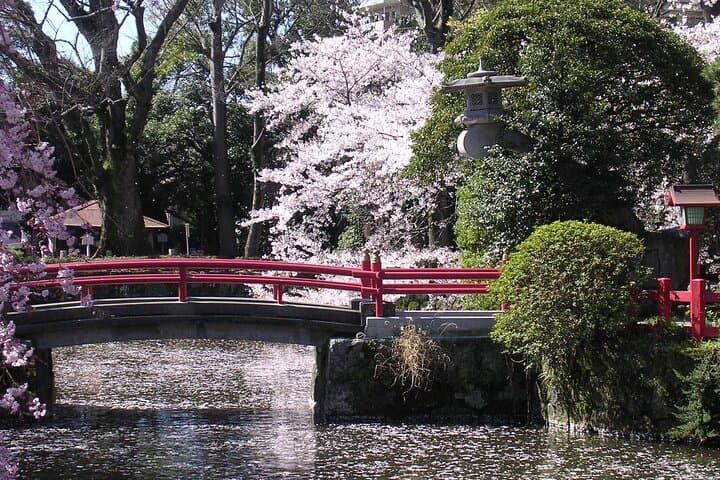 Bullet Train Experience & Mishima Shrine Private Tour from Tokyo — photo 4