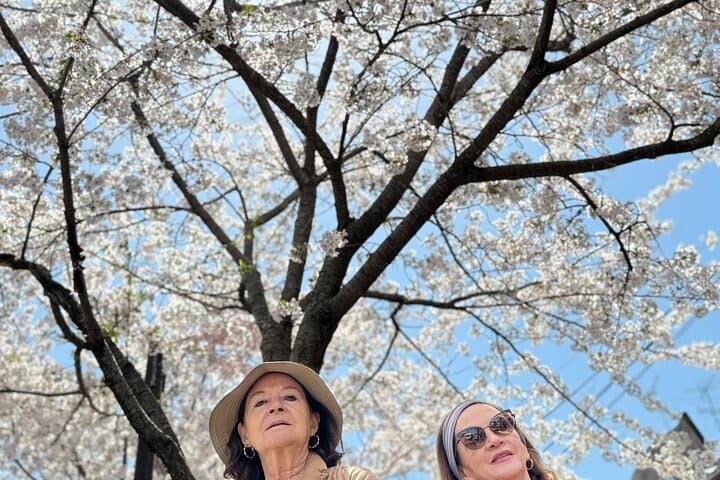 Kyoto Exploration with an Accredited Government Guide — photo 2