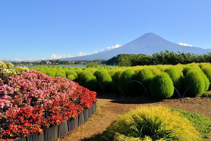 Mt Fuji & Hakone Scenic Day Tour with Lake Ashi Cruise & Ropeway — photo 4