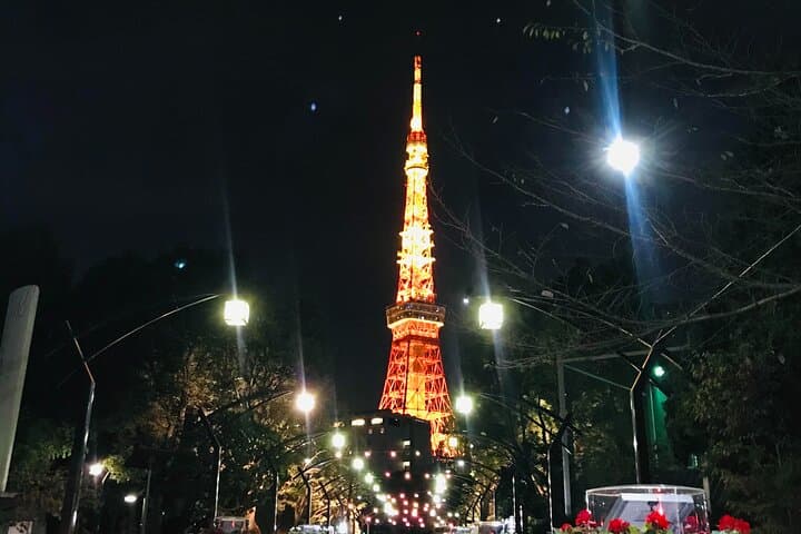 Private Tokyo Day to Night Tour: Asakusa & Shinjuku Golden Gai — photo 13
