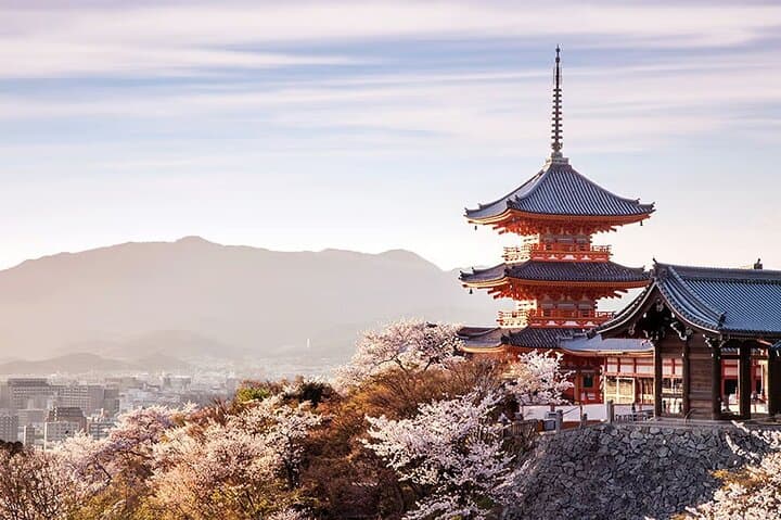 Golden Pavilion Kiyomizu Temple and Fushimi Inari Shrine Tour — photo 6