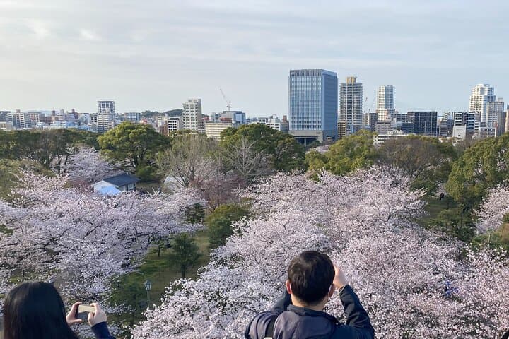 Fukuoka City walking with public transport Sightseeing Tour — photo 19