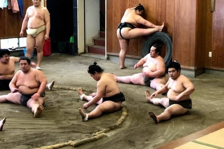Tokyo 5hr Private Tour & Sumo Wrestler Morning Practice Viewing — photo 4