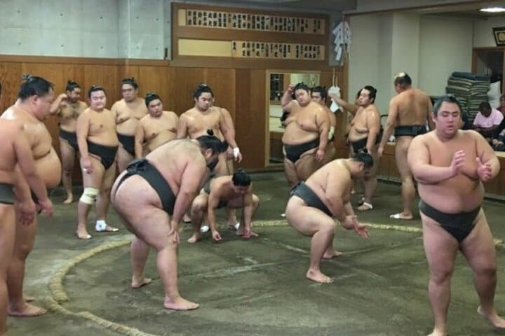Tokyo 5hr Private Tour & Sumo Wrestler Morning Practice Viewing — photo 5