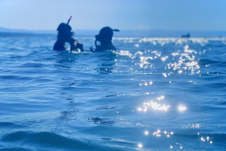 Shimoda Local Guide — photo 6
