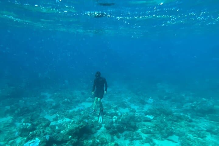 Shimoda Local Guide — photo 3