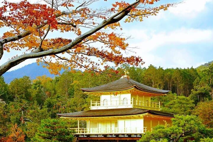 Kyoto and Nara Day Tour from Osaka or Kyoto — photo 6