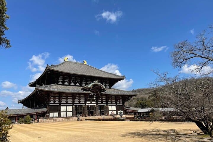 Kyoto and Nara Day Tour from Osaka or Kyoto — photo 4