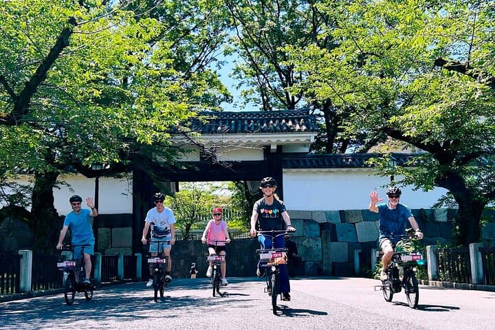 Explore Tokyo’s Must-See Spots by E-Bike – Small Group 3h Tour — photo 2
