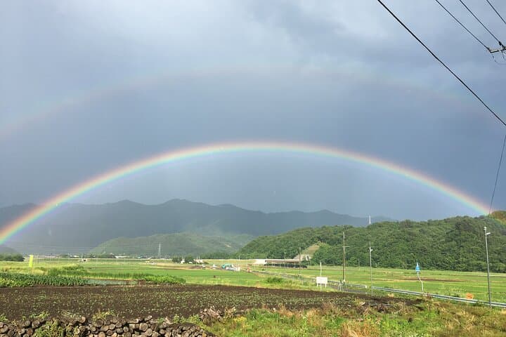 Vegetable Harvesting and Food Culture Experience in Yamada Town — photo 4