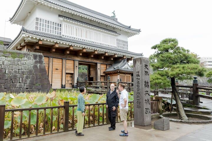 Kagoshima Highlights Private Tour, Sakurajima Volcano and more — photo 11
