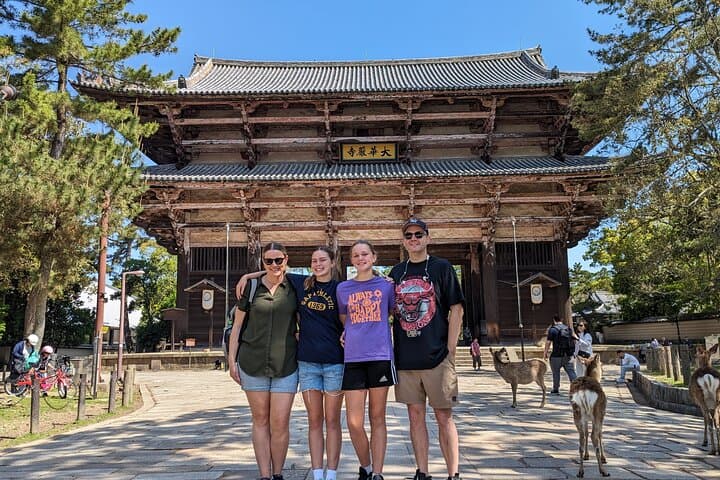 Full Day Nara Deer, Temple, Shrine, Activities & Tea Ceremony — photo 2