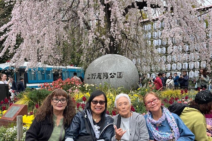 Tokyo 5hr Private Tour & Sumo Wrestler Morning Practice Viewing — photo 15