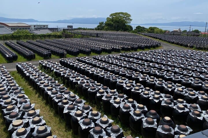Kagoshima Highlights Private Tour, Sakurajima Volcano and more — photo 20