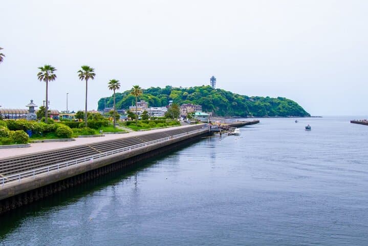 Day Trip to Kamakura & Enoshima: Shrines, Seaside, Temples & Tea — photo 11