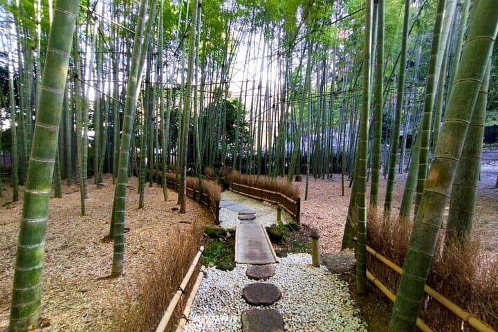 Day Trip to Kamakura & Enoshima: Shrines, Seaside, Temples & Tea — photo 4