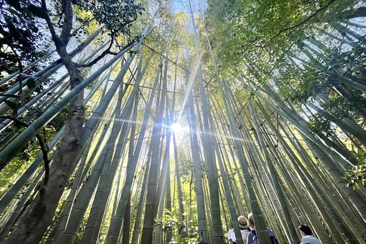 Day Trip to Kamakura & Enoshima: Shrines, Seaside, Temples & Tea — photo 3