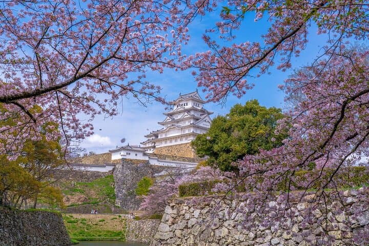 Private Customize Tour Himeji from Kyoto — photo 2