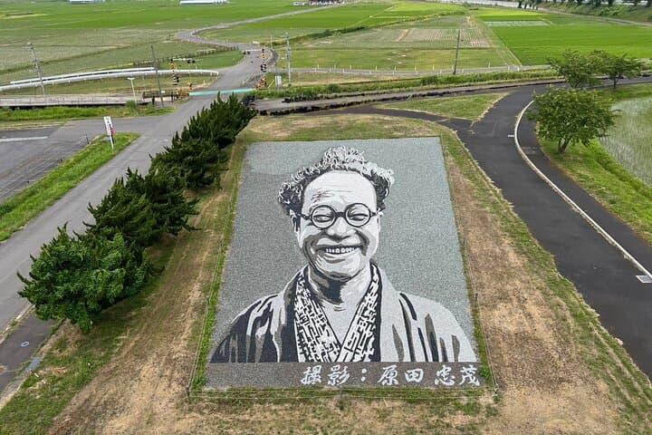 Rice Paddy Art and Apple Picking Full day Private Tour — photo 6