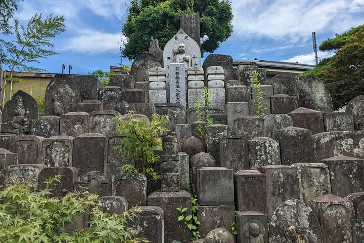 Hidden Temples Tour of Tokyo in Karasuyama — photo 2