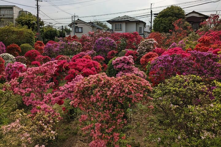 Hidden Temples Tour of Tokyo in Karasuyama — photo 3