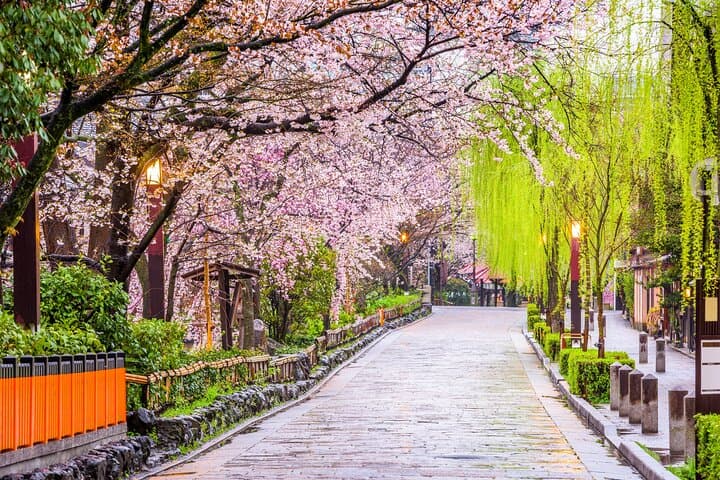 Kyoto Geisha District Walking Tour in Gion — photo 10