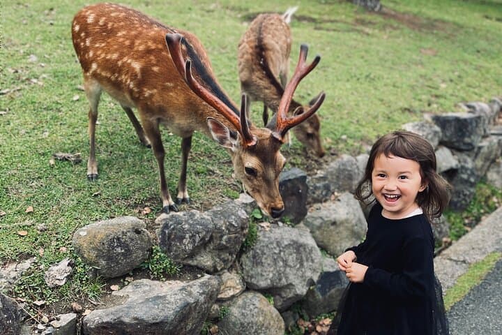 Nara Adventure: Todaiji, Kasuga Shrine, Nara Park, Hozanji Temple — photo 5