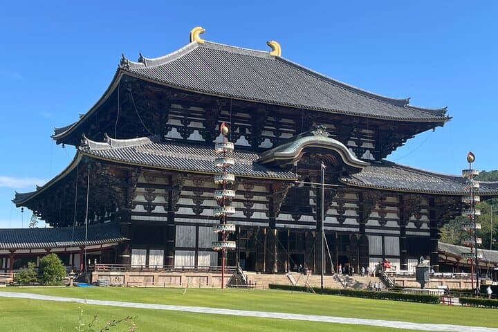 Nara Adventure: Todaiji, Kasuga Shrine, Nara Park, Hozanji Temple — photo 2